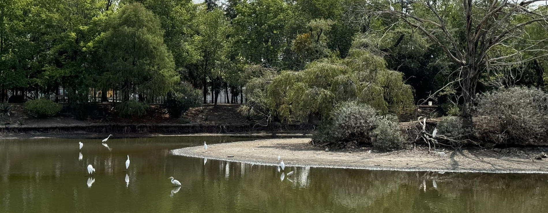 Laguna de San Baltazar