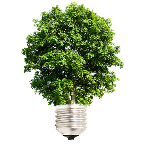 Foco-árbol