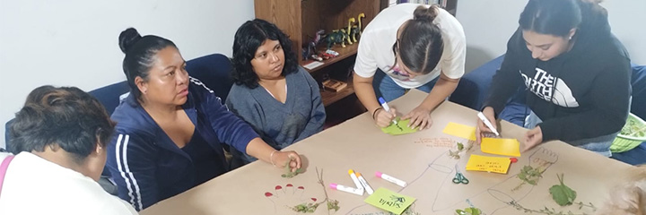 Herbario taller
