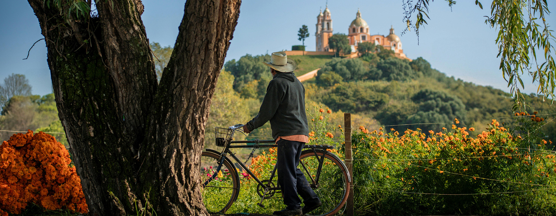 Cholula