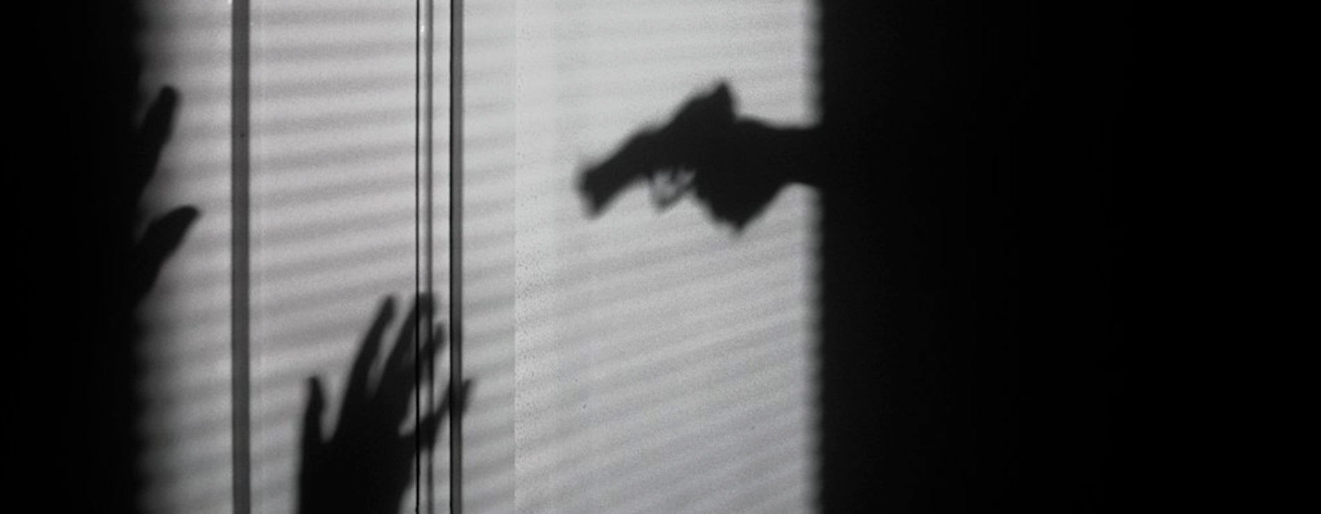 Violencia a contraluz