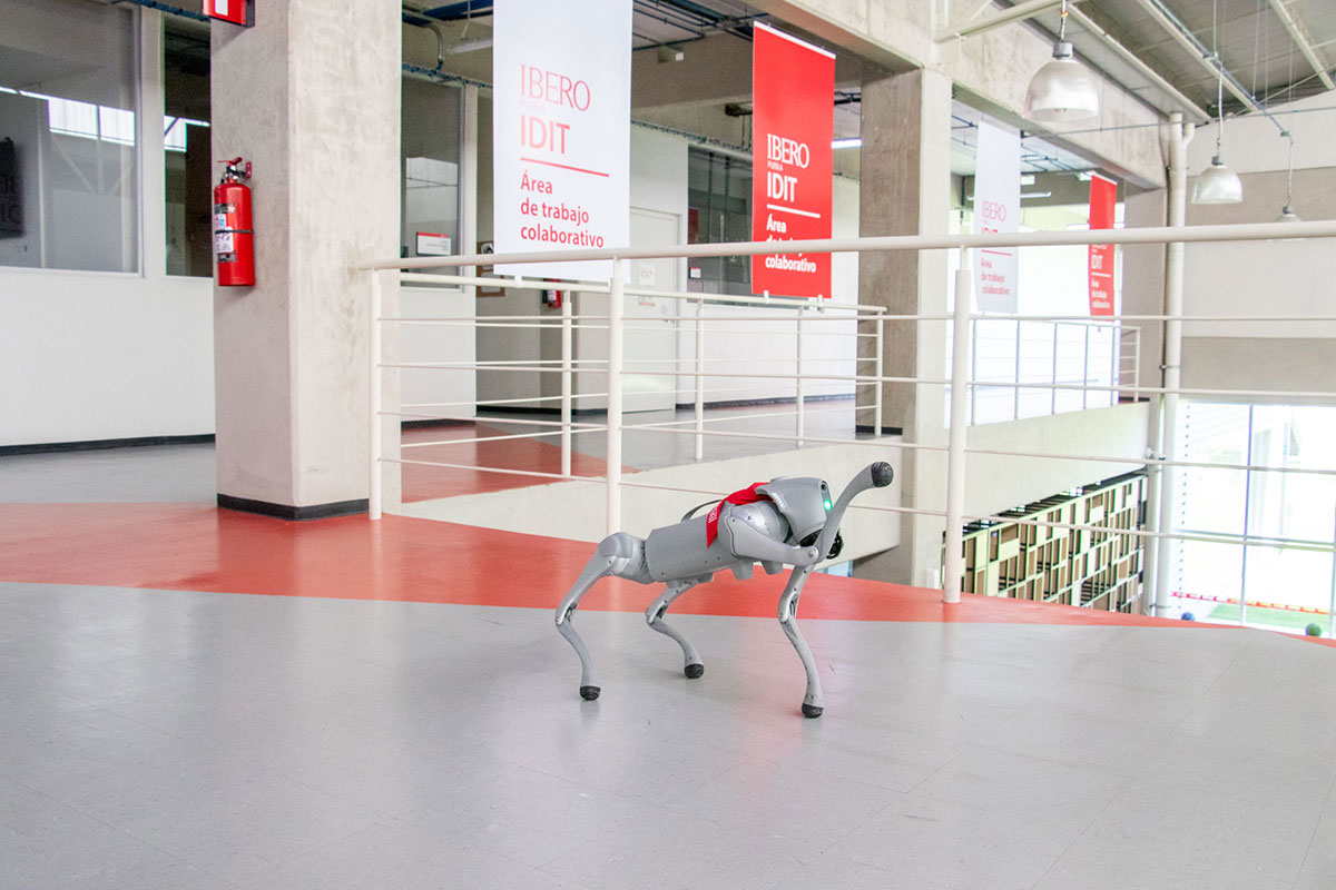 Canino robot