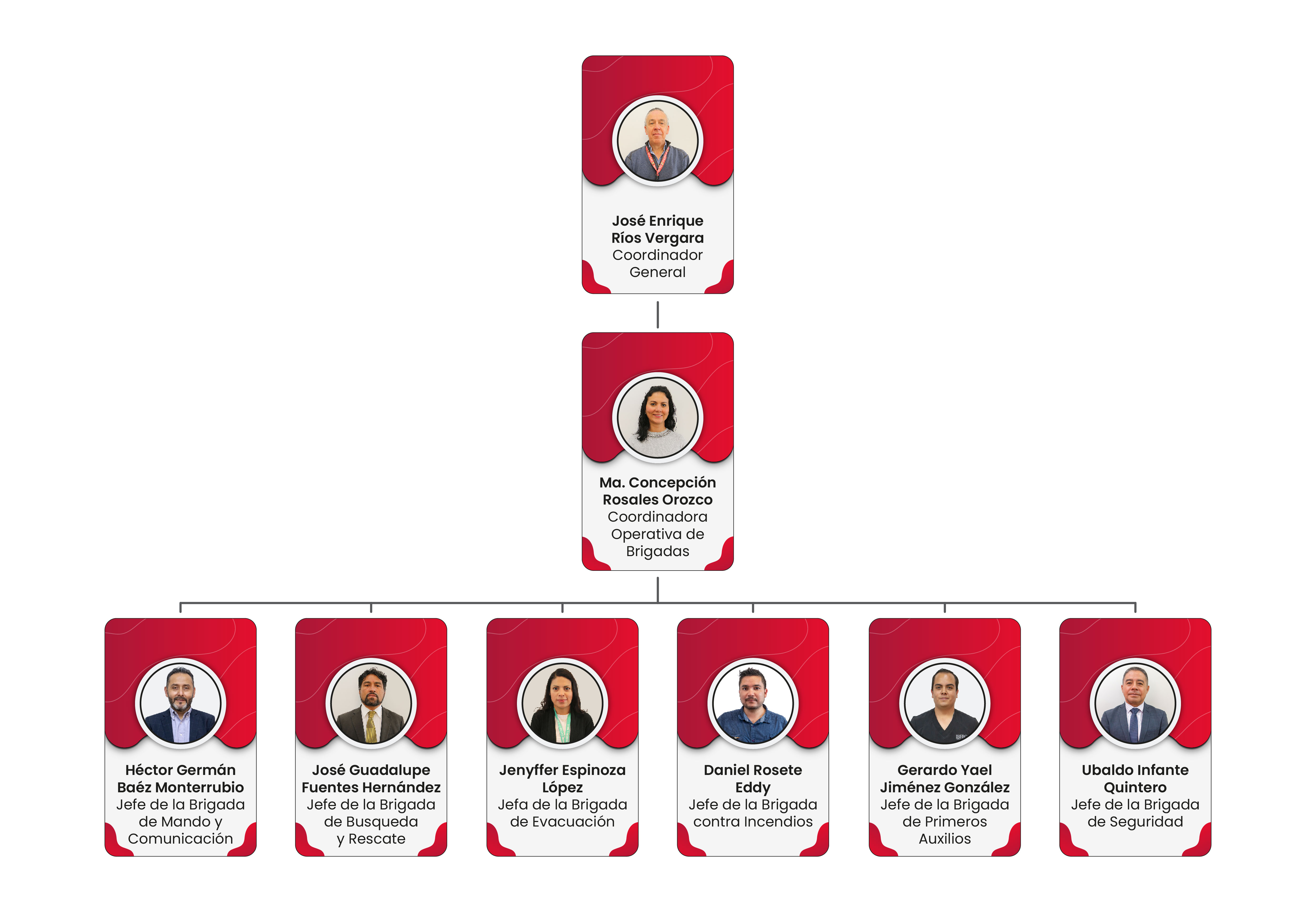 Organigrama