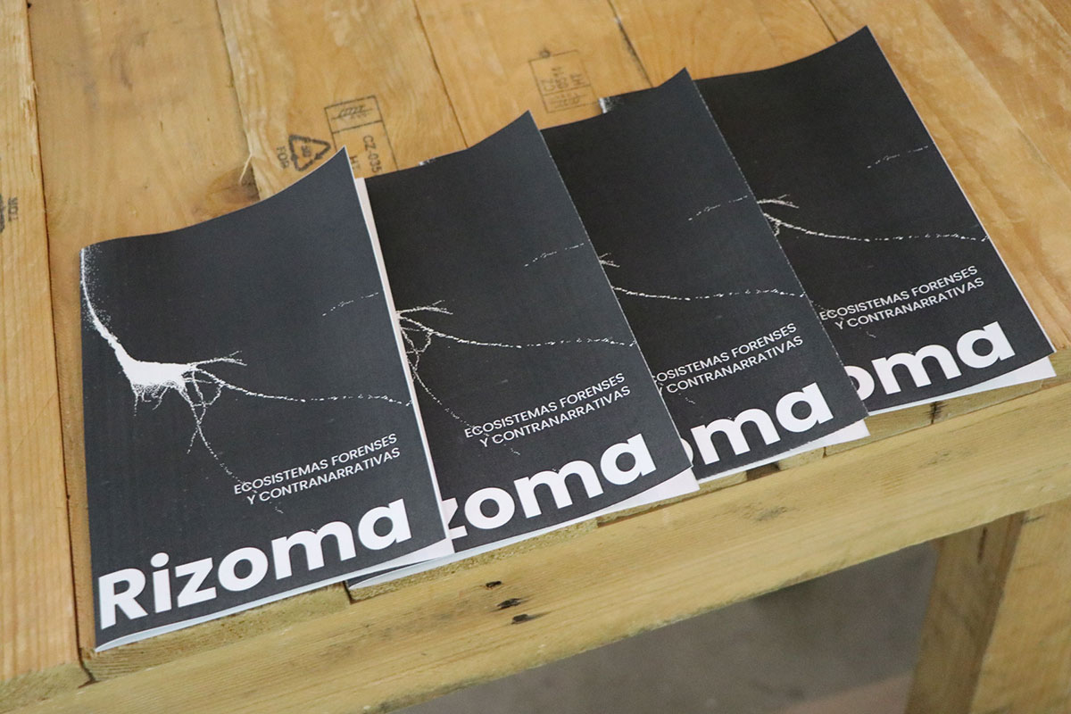 Rizoma