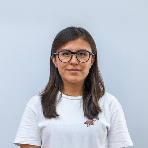ARanza Minor Aguilar